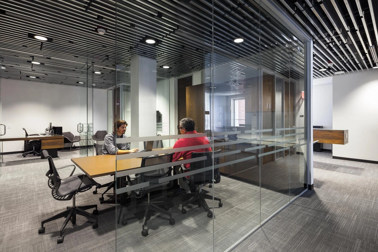 تسليط الضوء على الشركات الناشئة عالية النمو وتأثيرها على السوق