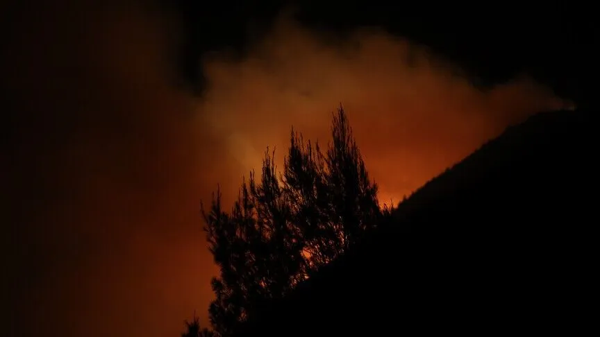 الجزائر.. إخماد 127 حريقا من أصل 146 خلال 24 ساعة