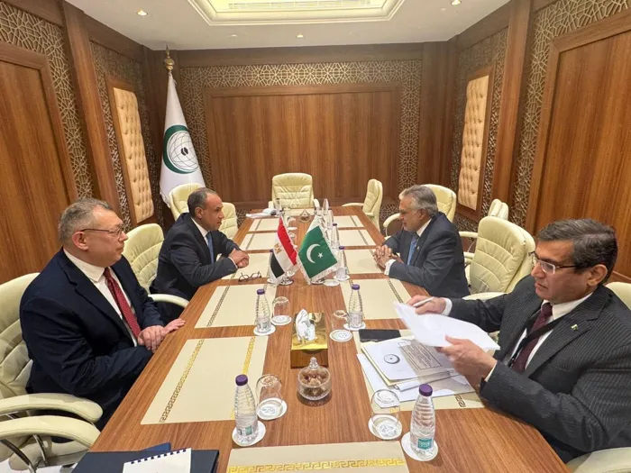 وزير الخارجية المصري: الحوار هو السبيل لتحقيق الاستقرار في اليمن