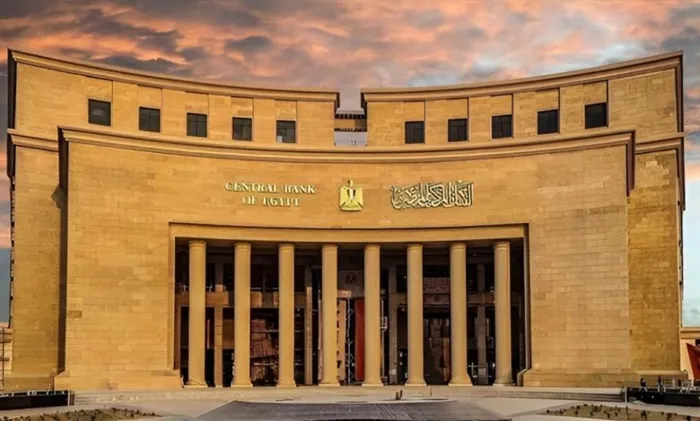 41.5 مليار دولار تحويلات المصريين بالخارج خلال 2025