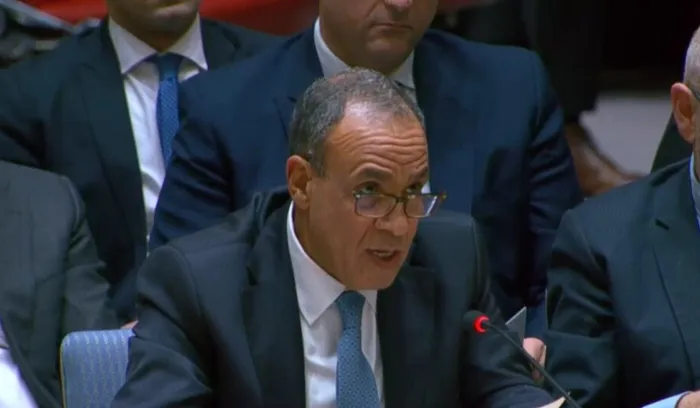 عبدالعاطي أمام مجلس الأمن: مصر تتطلع لشرق أوسط آمن ومستقر