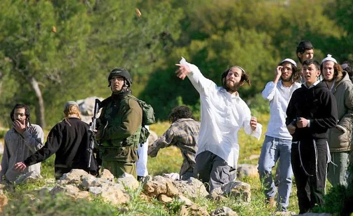 الأمم المتحدة: عنف المستوطنين في فلسطين بلغ مستويات غير مسبوقة